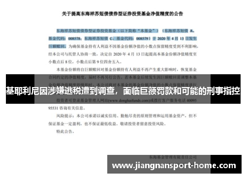 基耶利尼因涉嫌逃税遭到调查，面临巨额罚款和可能的刑事指控